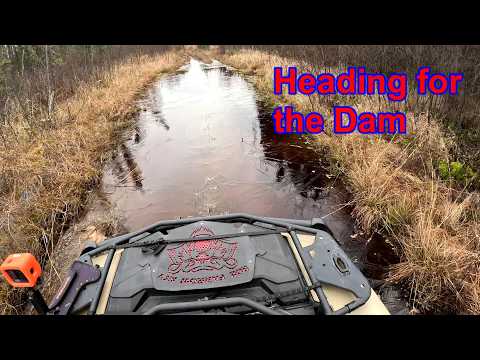 Abandoned Dam Lots of Chickens ATV Trail Solo Ride Can Am Outlander 700 North West Ontario