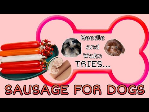 Video: Kunnen puppy's worstjes eten?