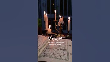 سورة الأنبياء {الآية 87} بصوت الشيخ ياسر الدوسري ❤️💖