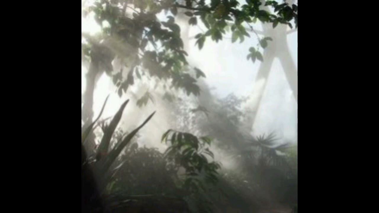 ssgkobe - caddy (mimofrl beat)