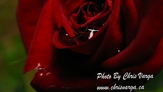 Add a watermark to multiple photos or pictures