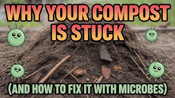 The #1 Composting LIE That