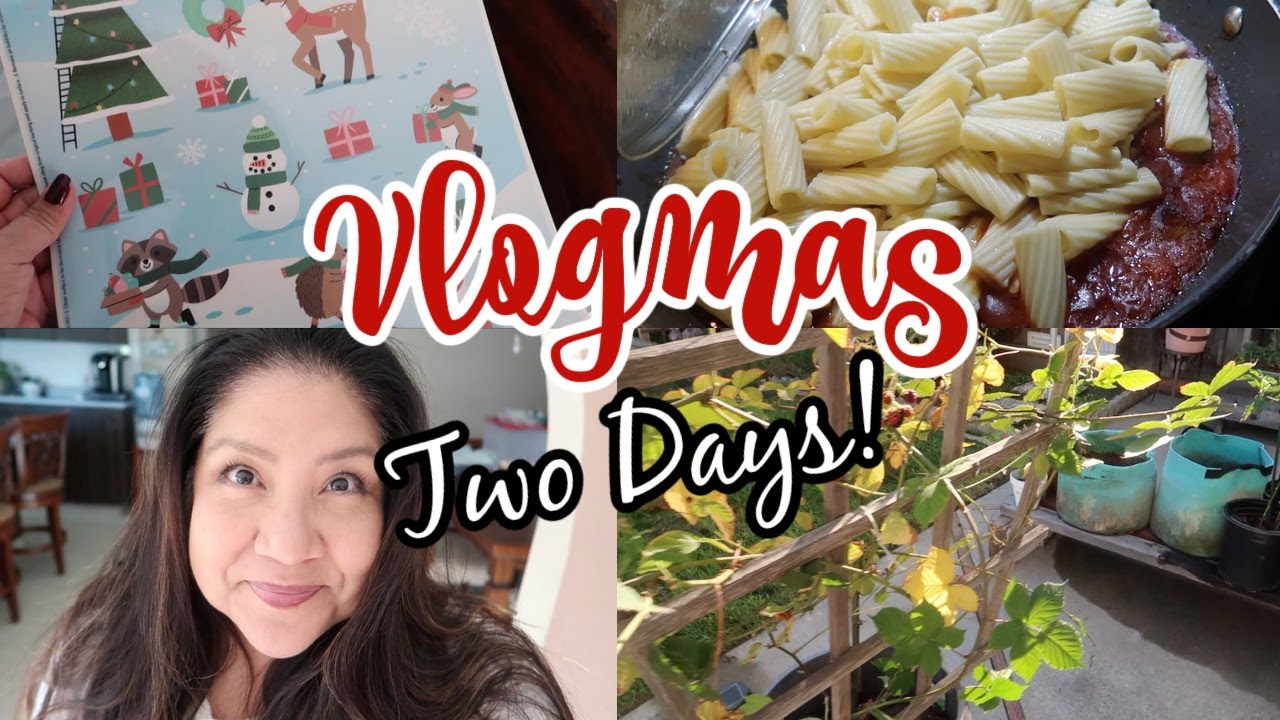 VLOGMAS DAY 2! DOLLAR TREE, COOKING (SPAGHETTI), GARDENING
