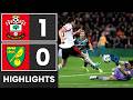 Southampton 1-0 Norwich: Saints Extend Unbeaten Run ⚽