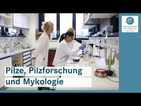 Video: Pilze - Wörterbuch Der Medizinischen Begriffe