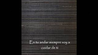 Insilence - La promesa