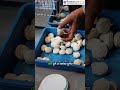 हर बॉल एक जैसी – Dough Ball Cutting Machine का कमाल!