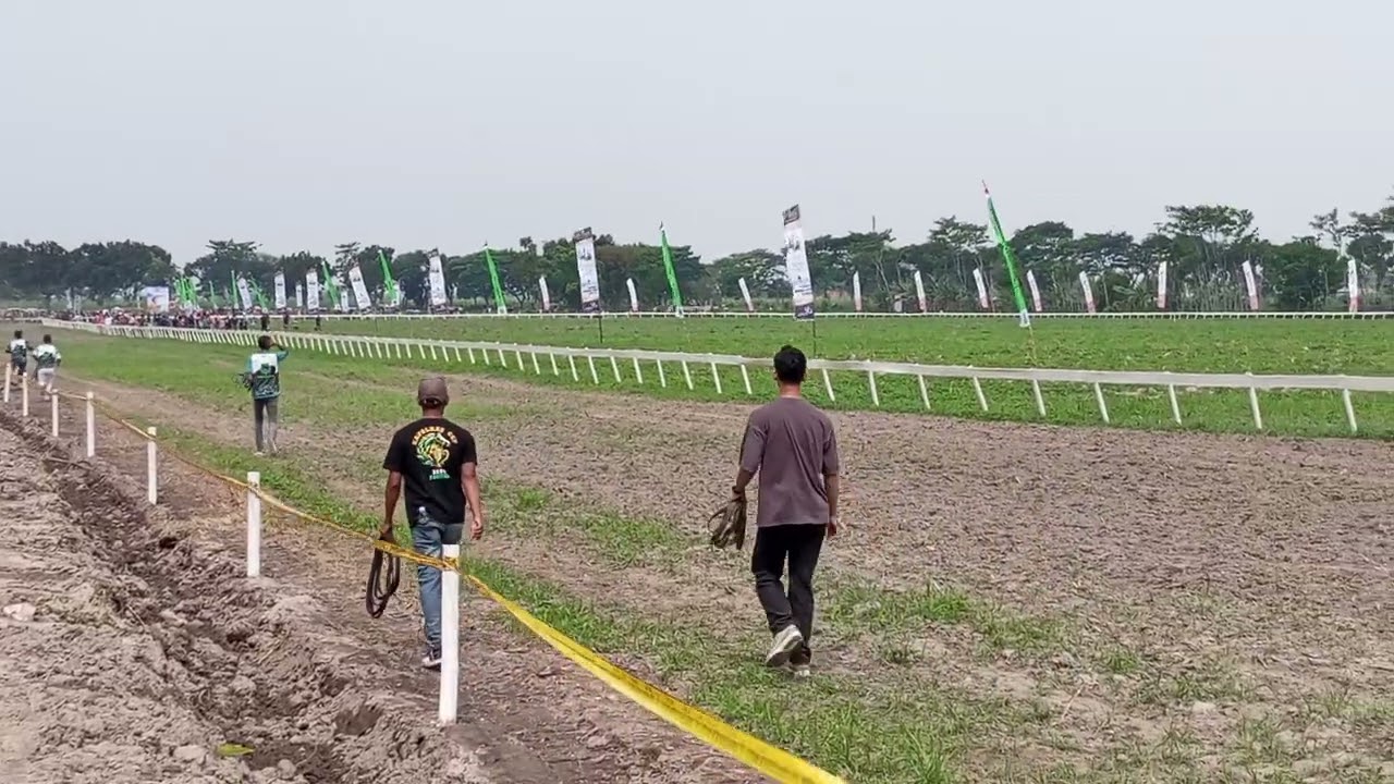 #pacuankuda desa kapas kunjang #kediri 