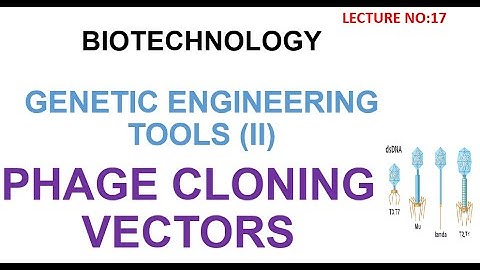 Bacteriophage Cloning Vectors | phage cloning vectors # biotechnology lectures