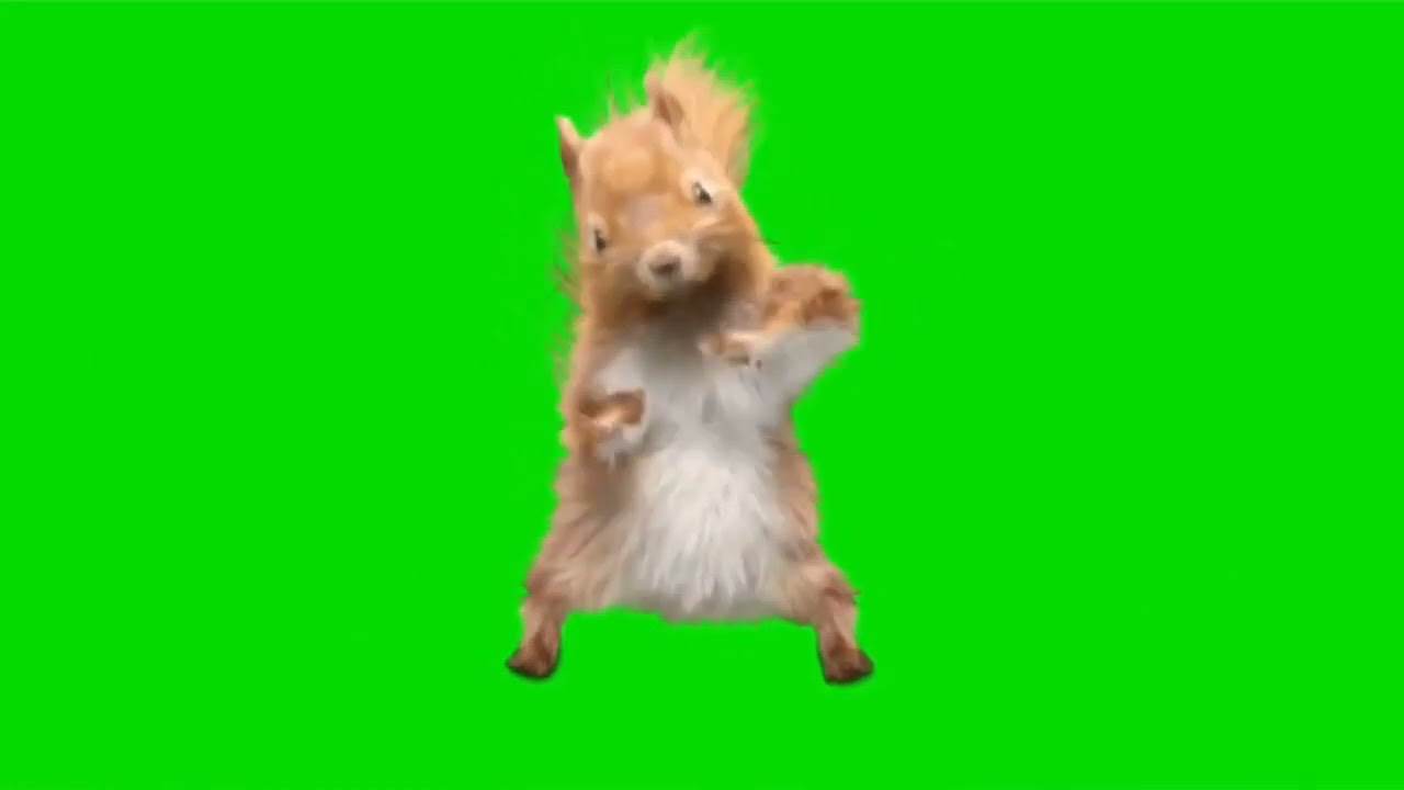 Hombre gordo bailando Skibidi Bop Yes Yes MEME (PANTALLA VERDE) #memes #shorts #viral #short #2023