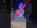 walking tour🇷🇺🫶coldest night #snow #robot #night #shorts