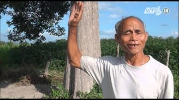 VTC14_Tây Nguyên sắp vắng bóng Kơnia