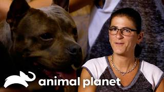 Can this Pup Be the Perfect Replacement for this NY Couple?!| Pit Bulls and Parolees | Animal Planet