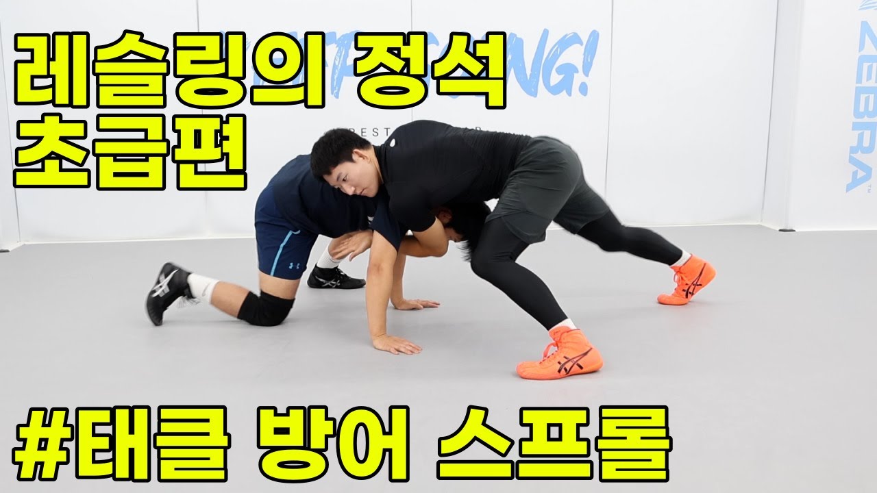 레슬링의 정석 초급편[태클 방어 스프롤]