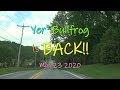 The bullfrog is back