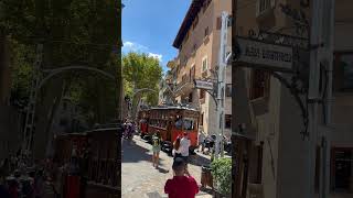 IMG 7438