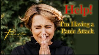 Celebrity Help I'm Having a Panic Attack Profile