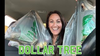 DOLLAR TREE SHOP WITH ME & CAR HAUL | $1.25 BRAND NEW ITEMS 🛍️ by Happiness is Homemade 4 16,067 views 1 month ago 32 minutes