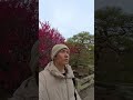 日本生活普通日子 湯葉起司 梅宮大社 梅