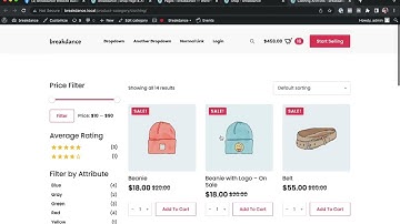 Expert Tip: Custom PHP Conditions in Breakdance
