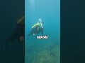 Earth’s Unknown Ocean Zones 🌊🕳️ || #oceanfacts #deepseafacts @VerifexFacts