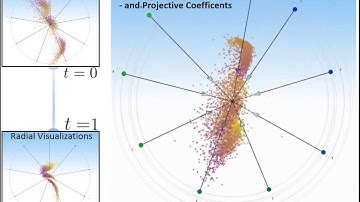 Talk, Lissbon, Portugal, 2016: General Projective Maps