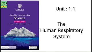 Cambridge lower secondary grade 8|stage 8| The Human Respiratory System