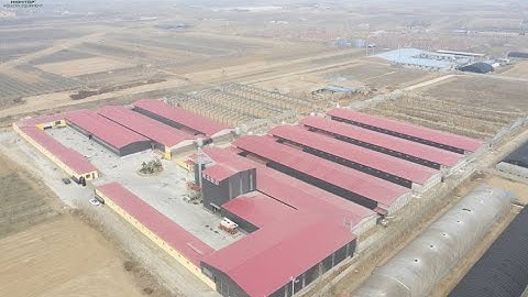 How to start an 800,000 Layers Farm with automatic layer equipment