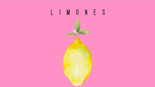 Video thumbnail of "Julián Gauna ft Trini Rossi - Limones (Official Audio)"