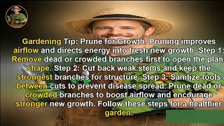 Gardening Tip: Prune for Growth | @gardeningtipsca