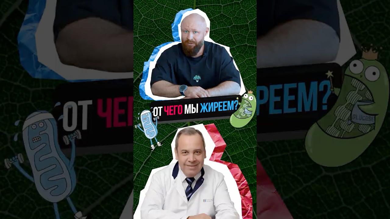 От чего мы Жиреем?  #здоровье #похудеть #диета