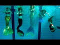 Seven Mermaids Meet | Mermaid Tails in Pool | Stella the Siren