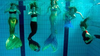 Seven Mermaids Meet | Mermaid Tails in Pool | Stella the Siren