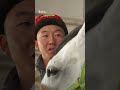 Көчмөндөр оюндарында жылдызы жанган Дастан