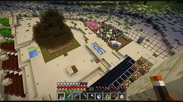 Monkeypuzzle Plays Vechs