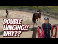 DOUBLE LUNGING! WHY IS IT DONE? - (Thoroughbred Horses) OTTB Series
