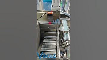 Vacuz Customize Automatic Rotor Stator Coil Shaft Pressing Magnetic Steel Insertion Assembly Machine