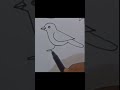 How to draw a Sparrow / easy Sparrow bird drawing step by step#short #shortvideo #youtubeshorts#art