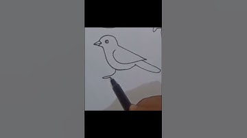 How to draw a Sparrow / easy Sparrow bird drawing step by step#short #shortvideo #youtubeshorts#art