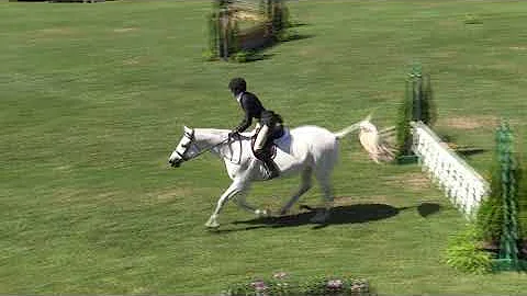 Video of BELLEVUE ridden by SUZANNE DUNCAN from ShowNet!