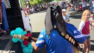 IMG 3539