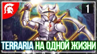 Хардкорная Terraria прохождение игры на одной жизни. Начало в Рождество! #1 Хардкорная Terraria прохождение игры на одной жизни. Начало в Рождество! #1