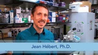Science Talk: Inner-Ear Disorders May Cause Hyperactivity
