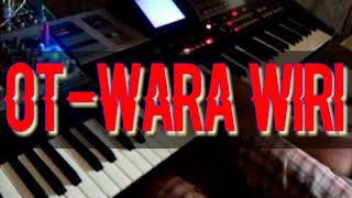 ORG-2019 REMIX PALEMBANG || OT-WARA WIRI ALANGKE PACAK KAU DJ