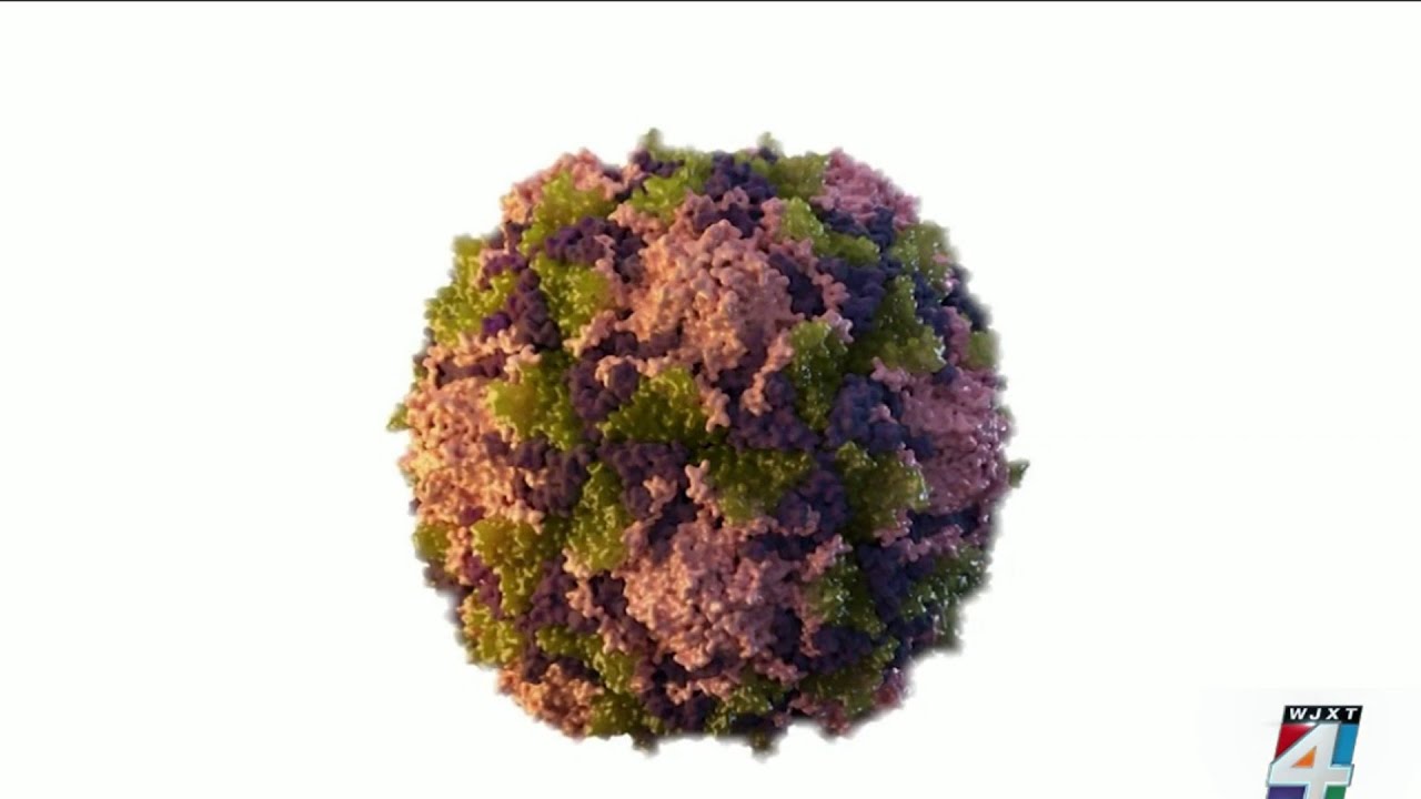 Infectious disease doctor explains impact of 1st US case of polio in decades