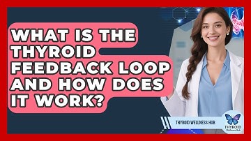 What Is The Thyroid Feedback Loop And How Does It Work? - Thyroid Wellness Hub