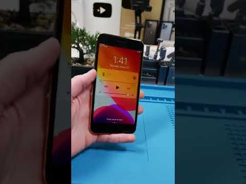 Could Magsafe Work On This Gold iPhone 7 Plus? #Shorts