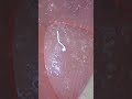 تفتكروا لقيت ايه في البساريا    