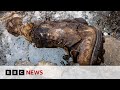 New video by BBC News on YouTube
