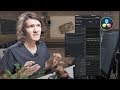 Как импортировать и сортировать файлы в DaVinci Resolve?